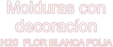 Molduras con decoracíon H20  FLOR BLANCA FOLIA