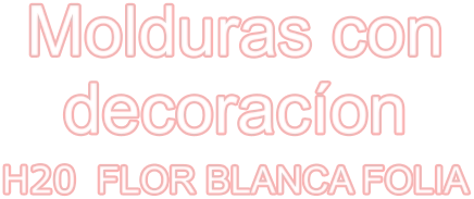 Molduras con decoracíon H20  FLOR BLANCA FOLIA